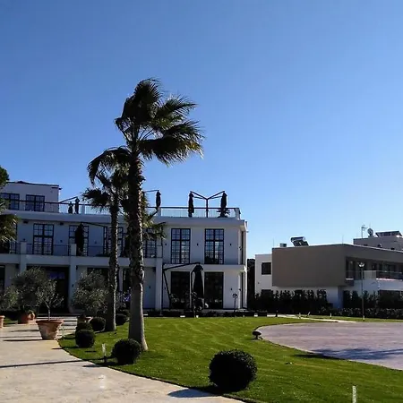 Casa Del Or
